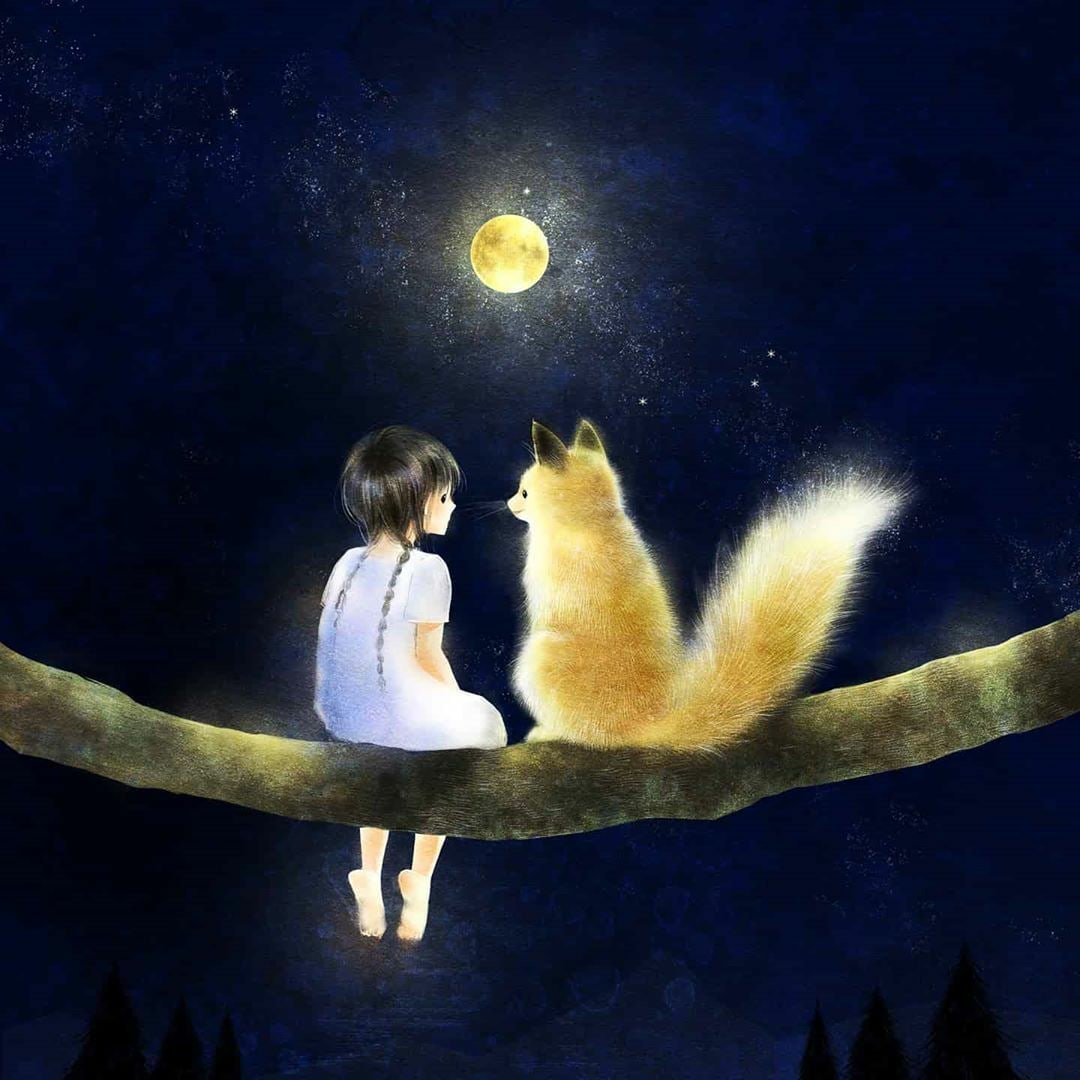 Лисенок и ночное небо