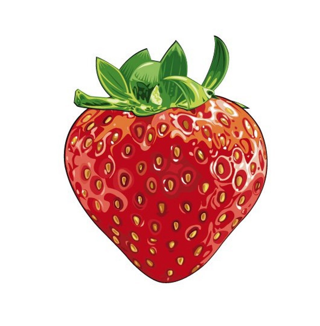 Клубника на белом фоне нарисованная