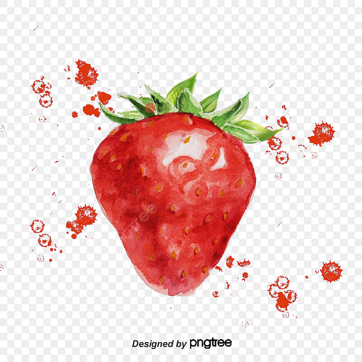 Клубника акварель вектор