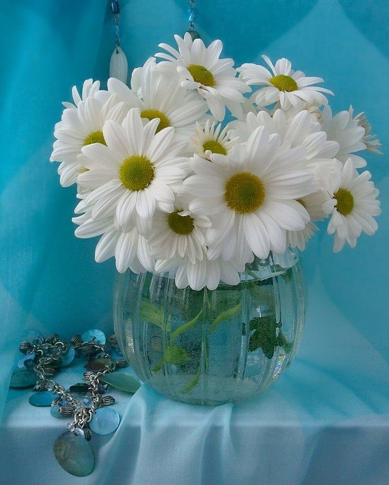 Открытки с ромашками