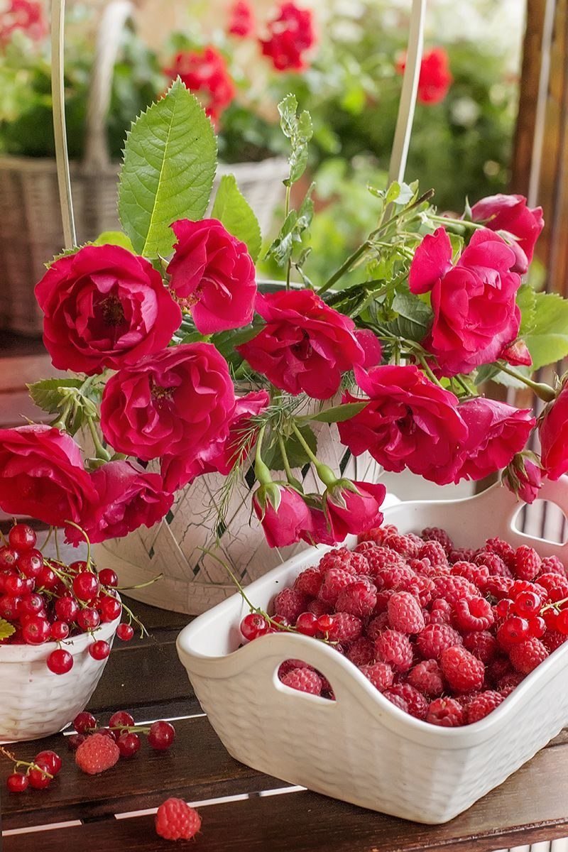 Открытки с добрым утром воскресенья