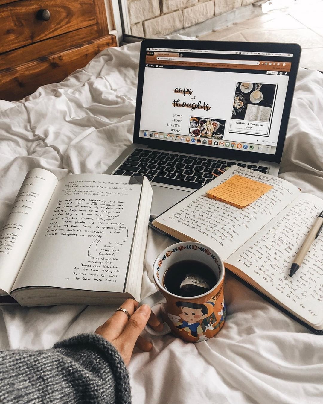 Открытки с началом учебы в университете