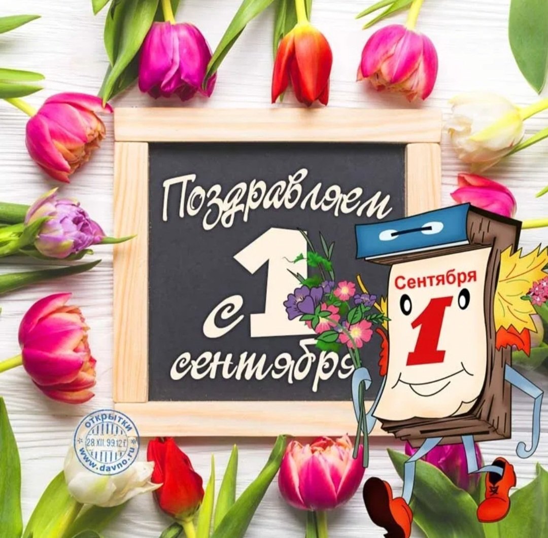 Уставший кот