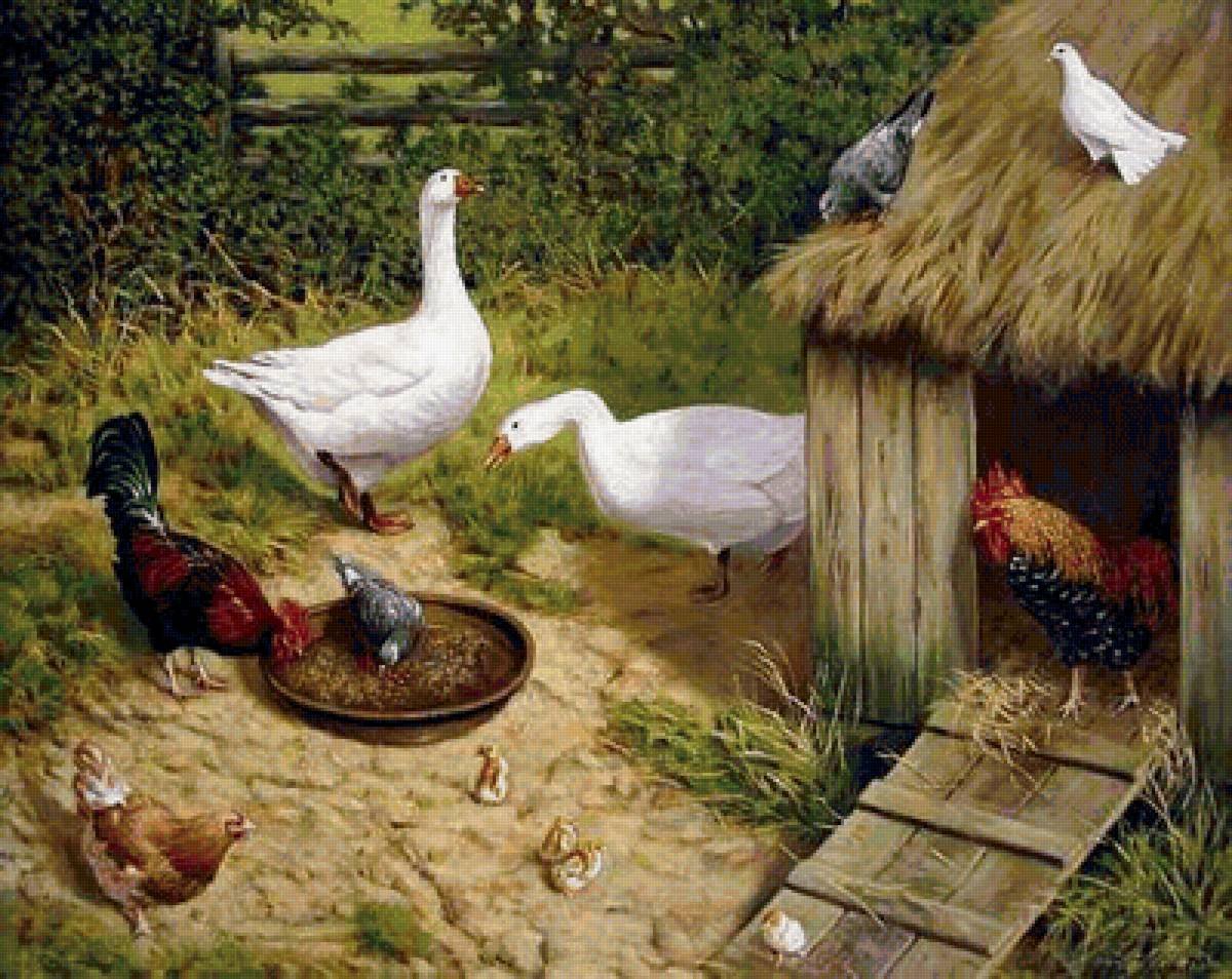 Ферма рисунок