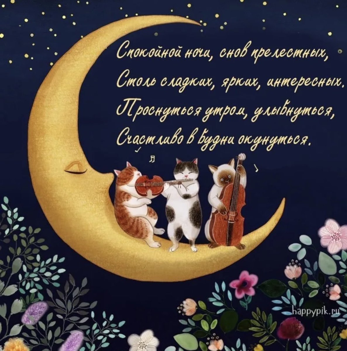 Спокойной ночи друзья