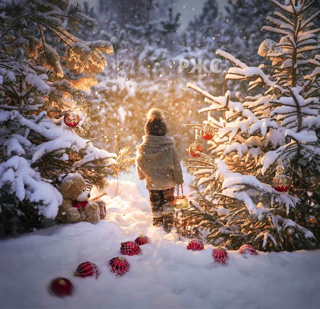 Елена Шумилова 2019