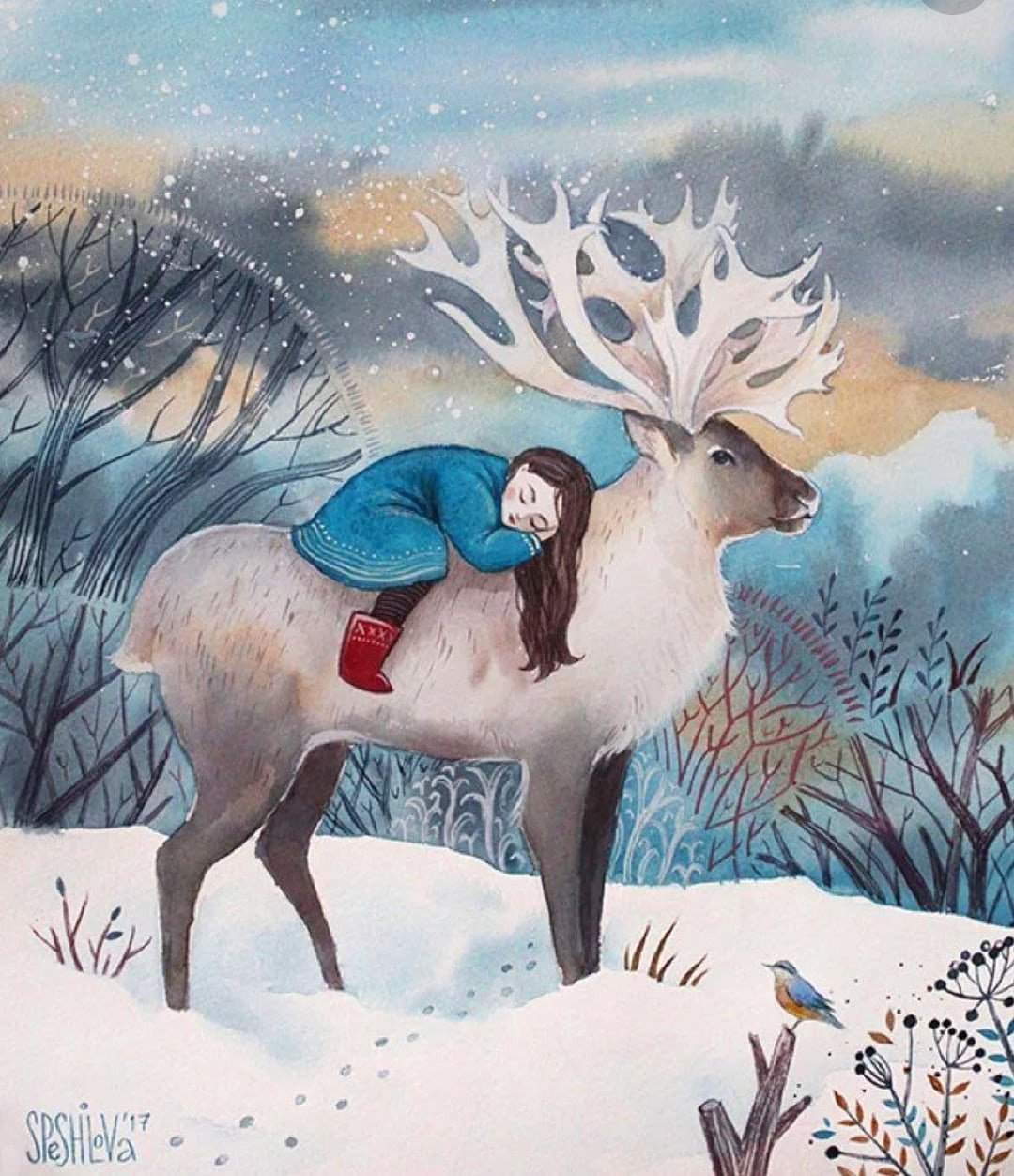 Анна Спешилова иллюстратор