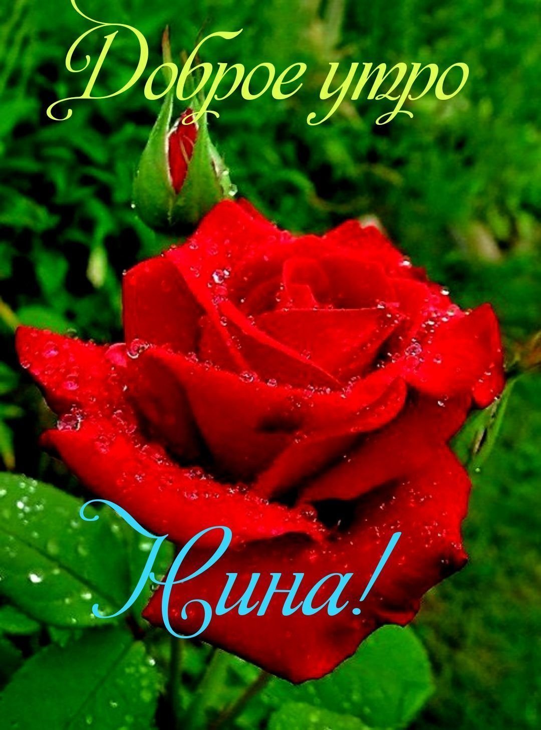 Доброе утро Ниночка