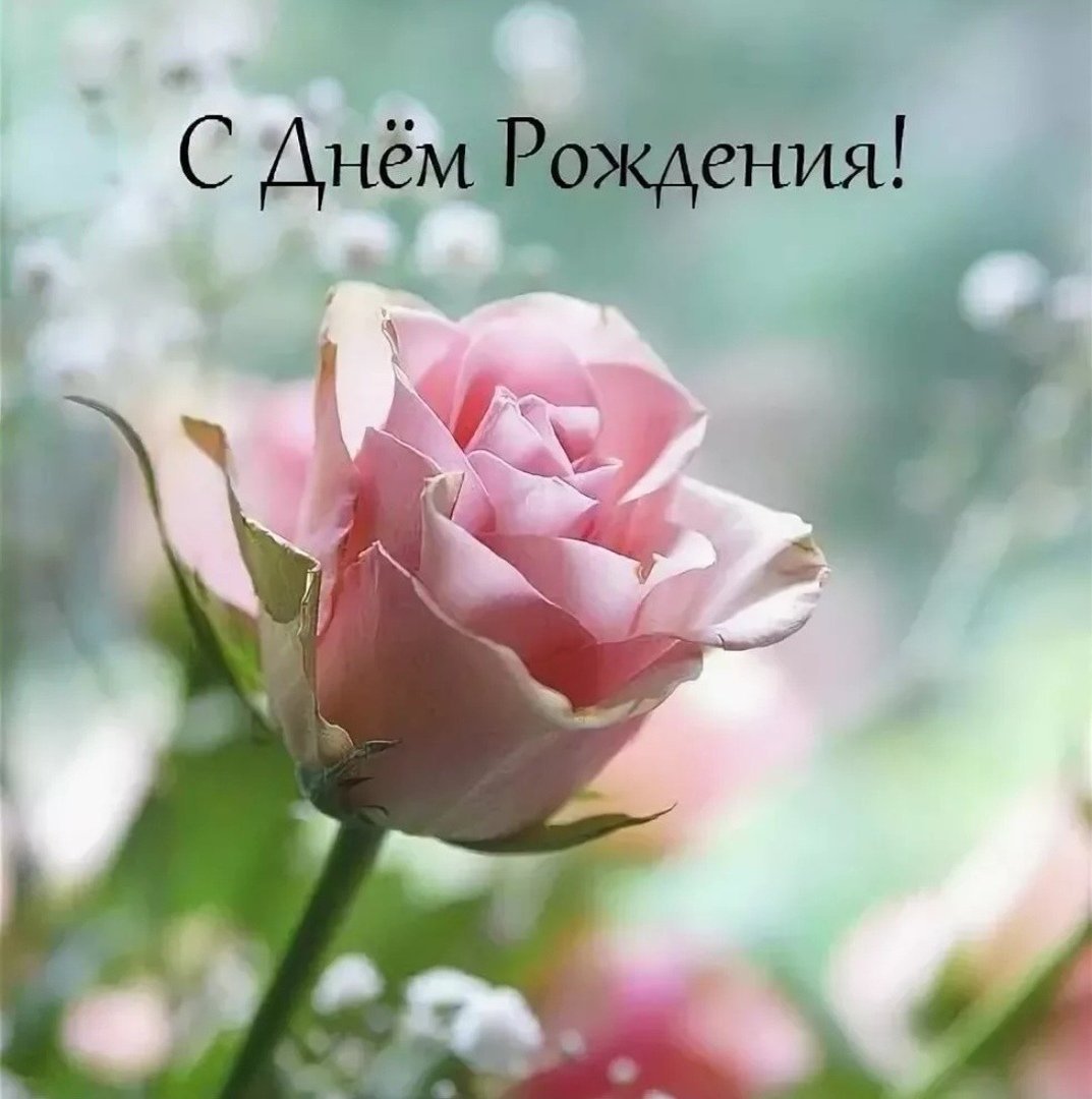 Нина Владимировна с днем рождения