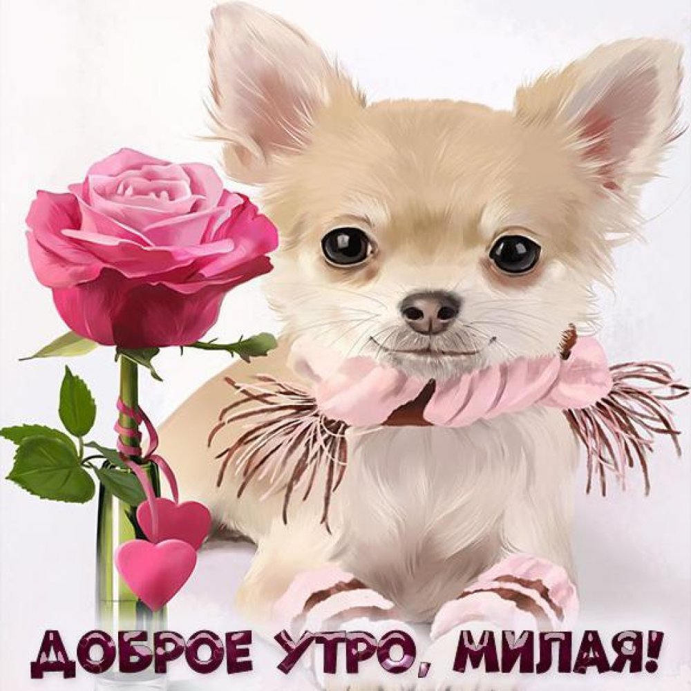 Открытки смайлики с добрым утром