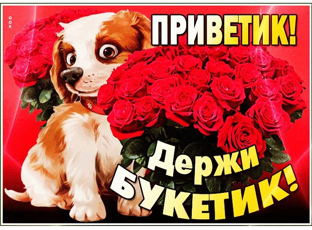 Открытки привет прикольные мужчине