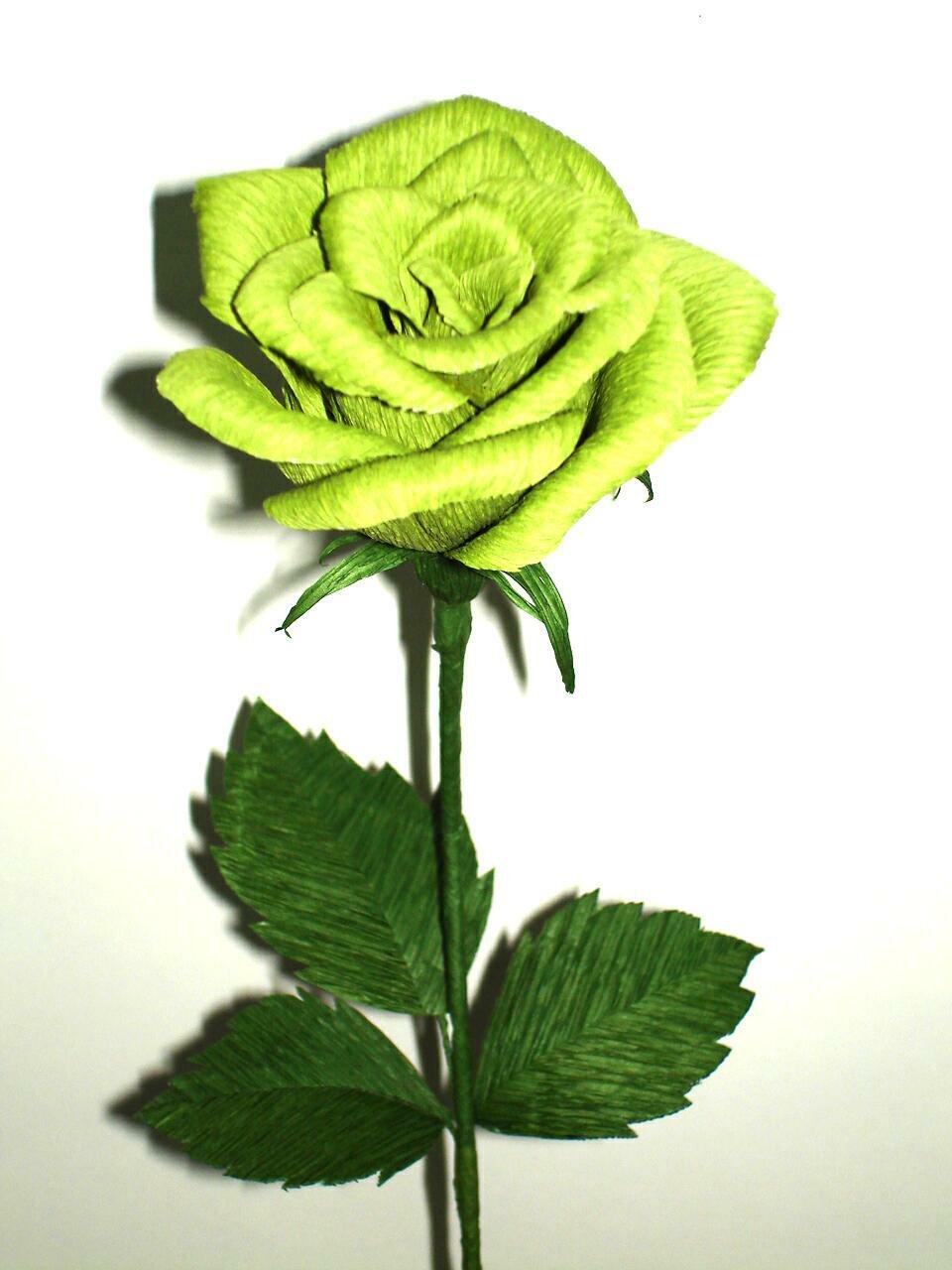 Роза Грин Даймонд