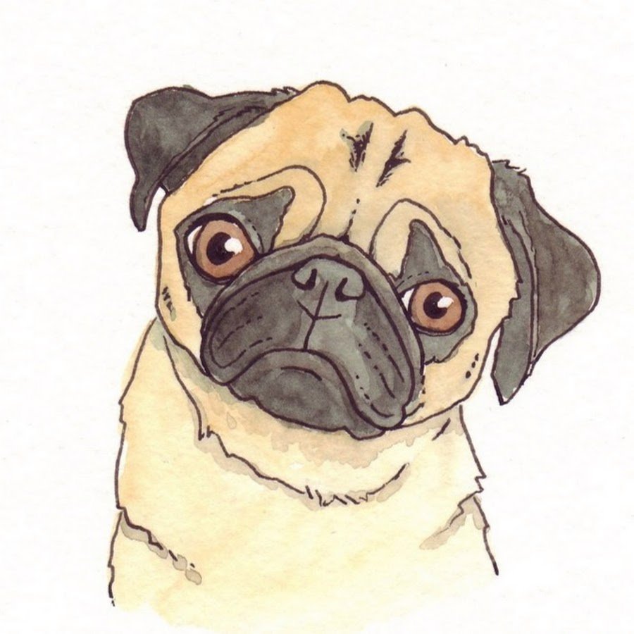 Мопс акварельными карандашами