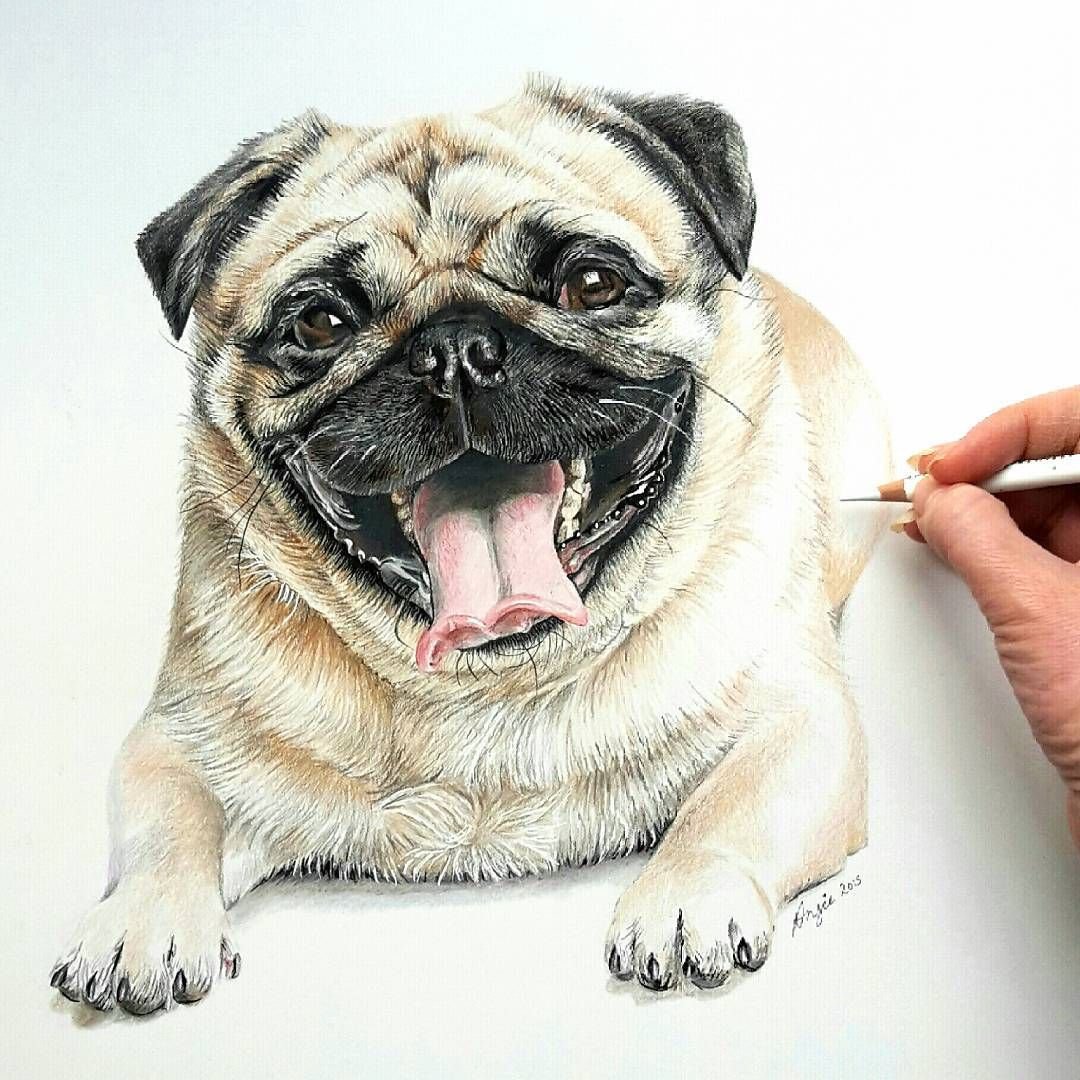 Мопс арт