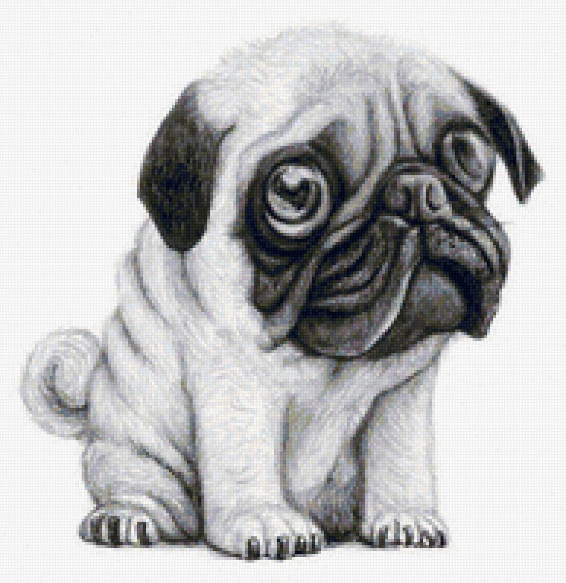 Мопс мультяшный