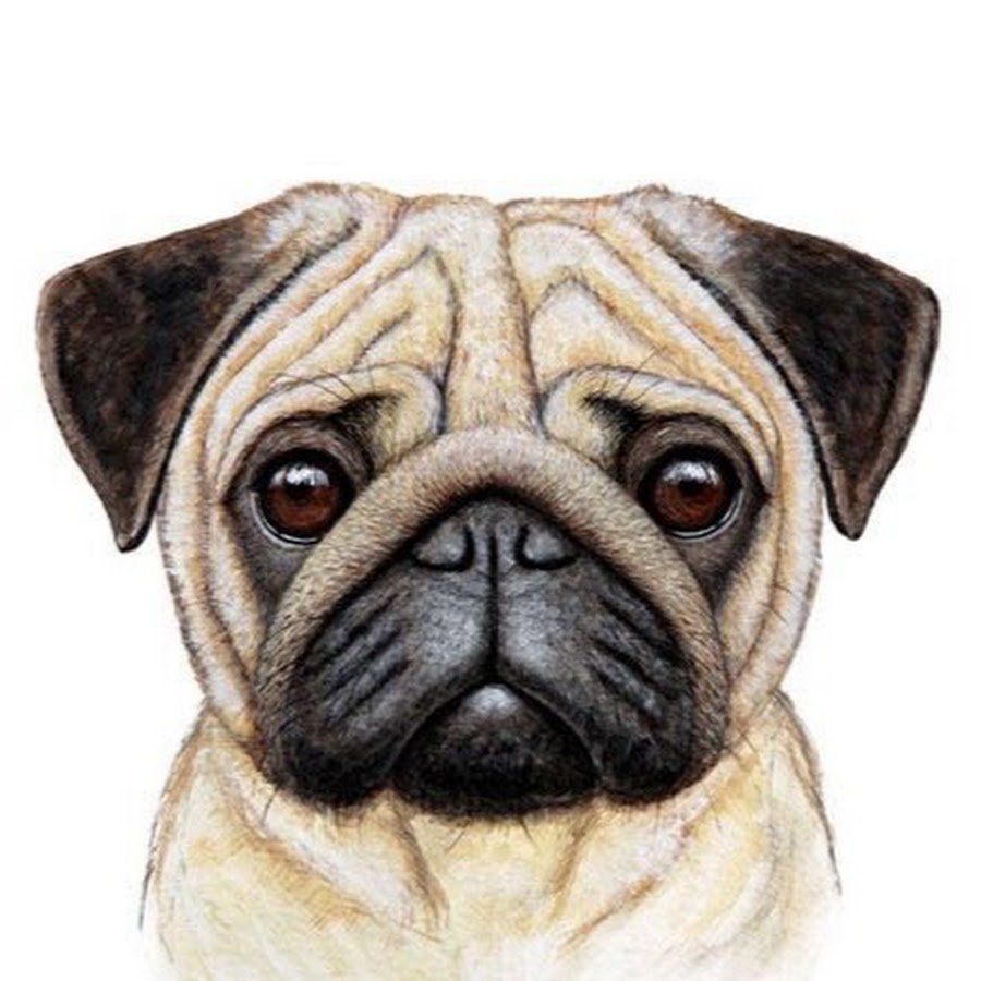 Милые мопсы Дисней