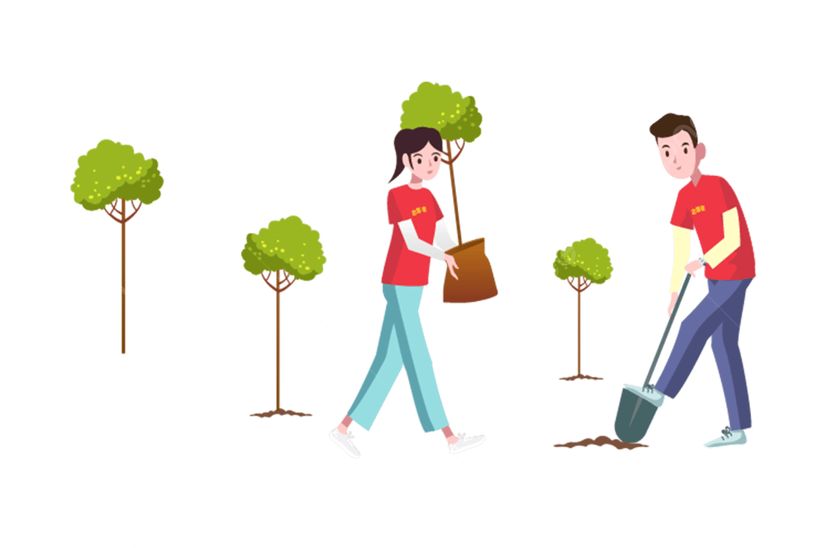 Посадка деревьев на белом фоне