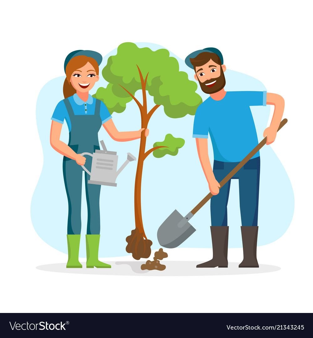 Высадка деревьев вектор