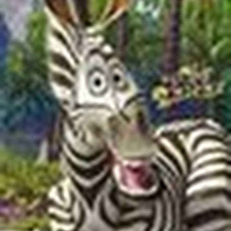 Зебра Марти из Мадагаскара