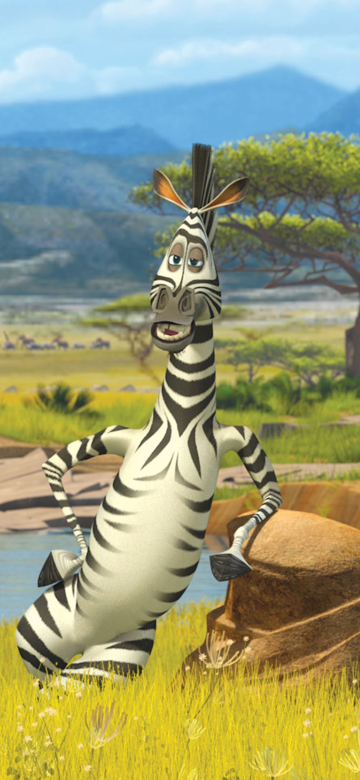 Жизнь как Зебра будь хитрее дошел до белой полосы и вдоль вдоль