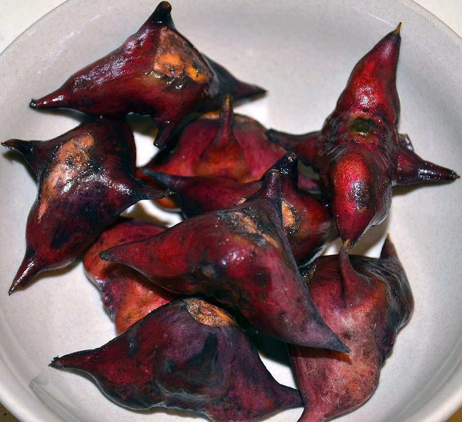 Водяной орех плавающий рогульник Чилим чертов орех