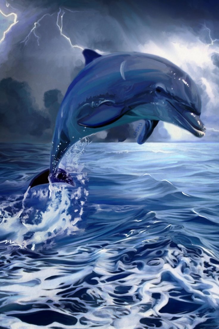 Красивые дельфины