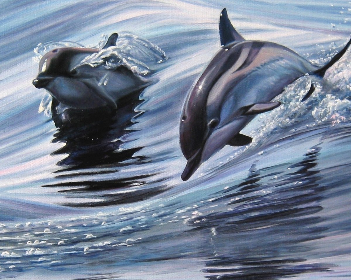 Дельфины арт
