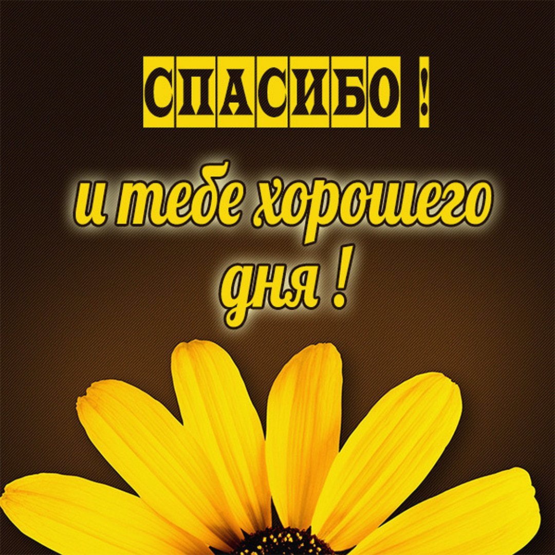 Хорошего тебе дня