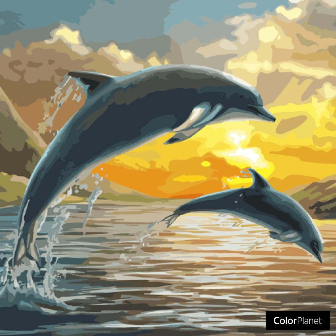 Море и горы дельфины картины