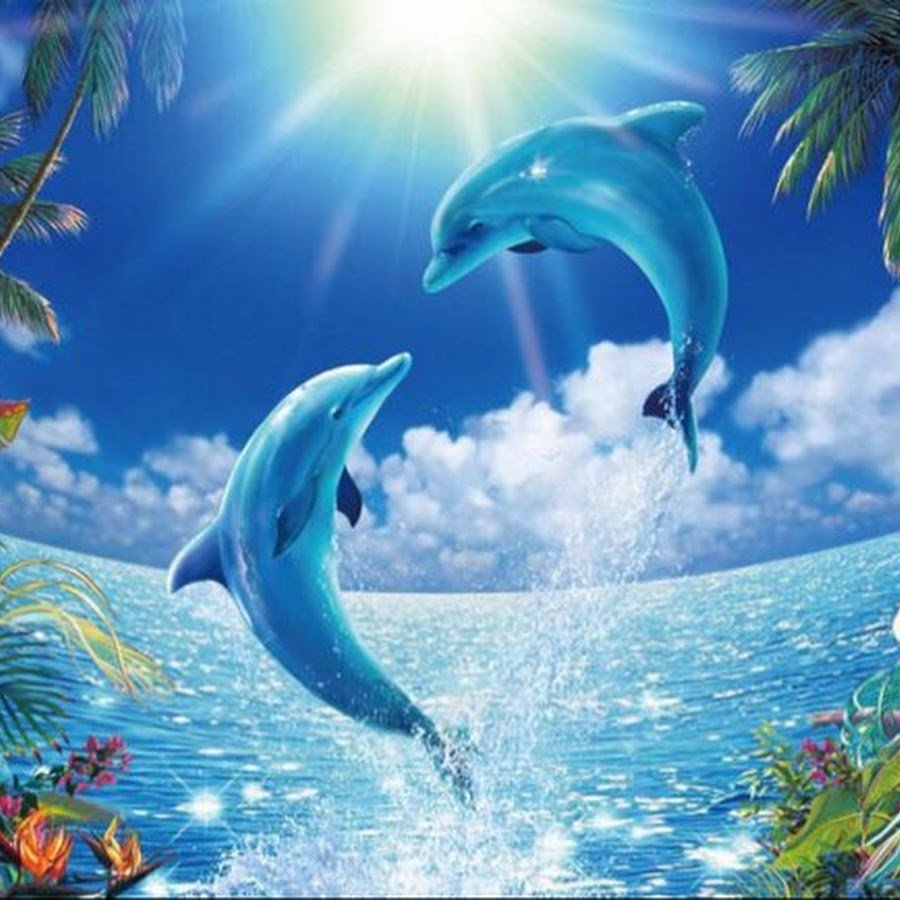 Дельфины пальмы