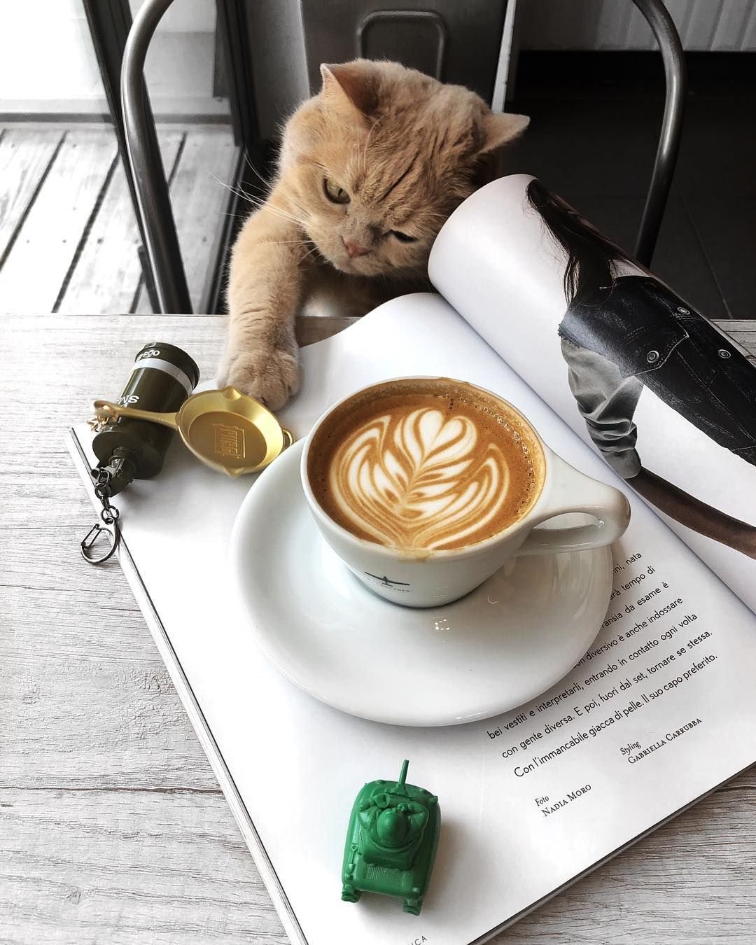 Смешные рисунки на кофе