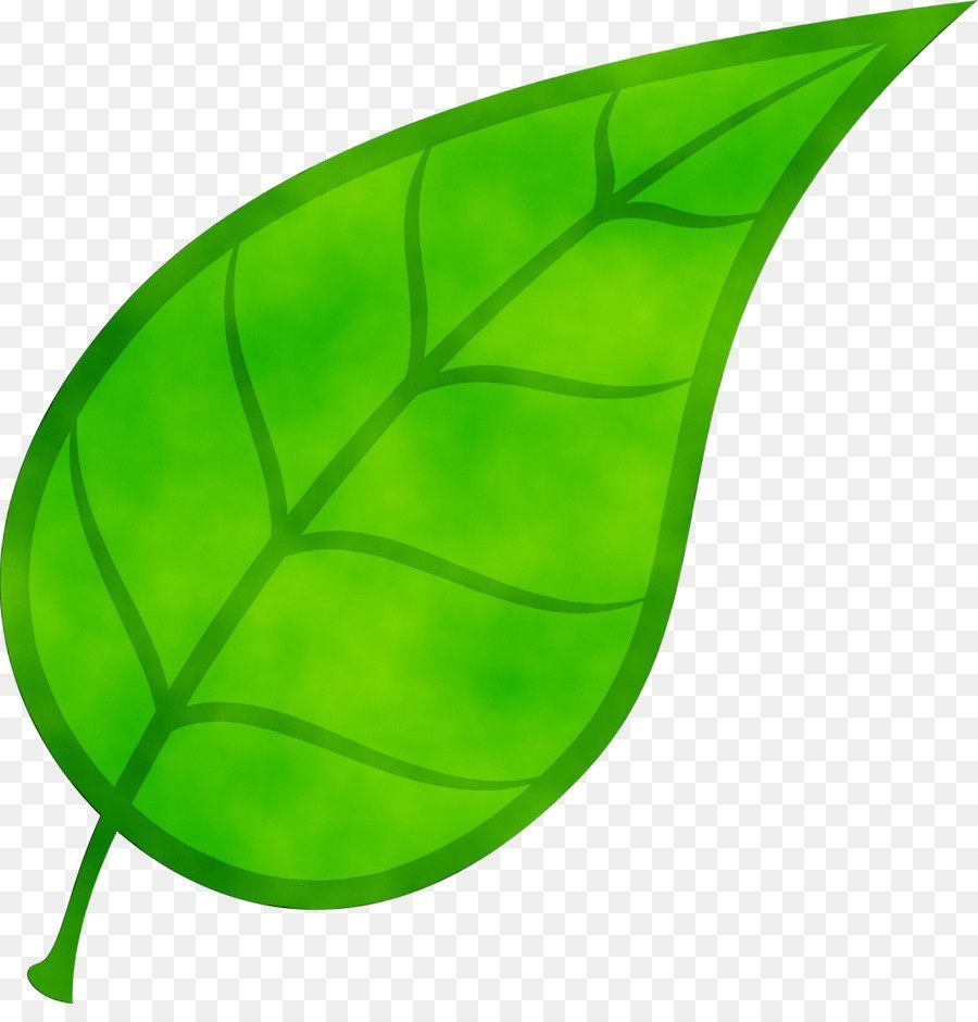 Как называется приложение зеленый листочек