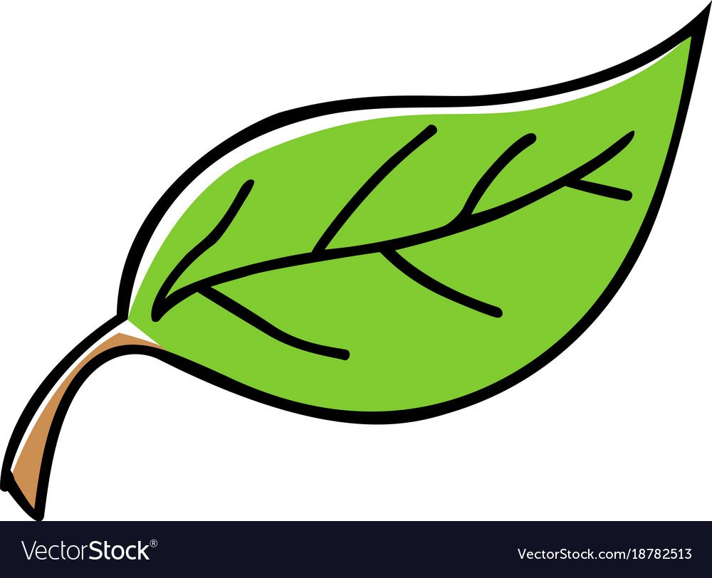 Зеленые листья мультяшные