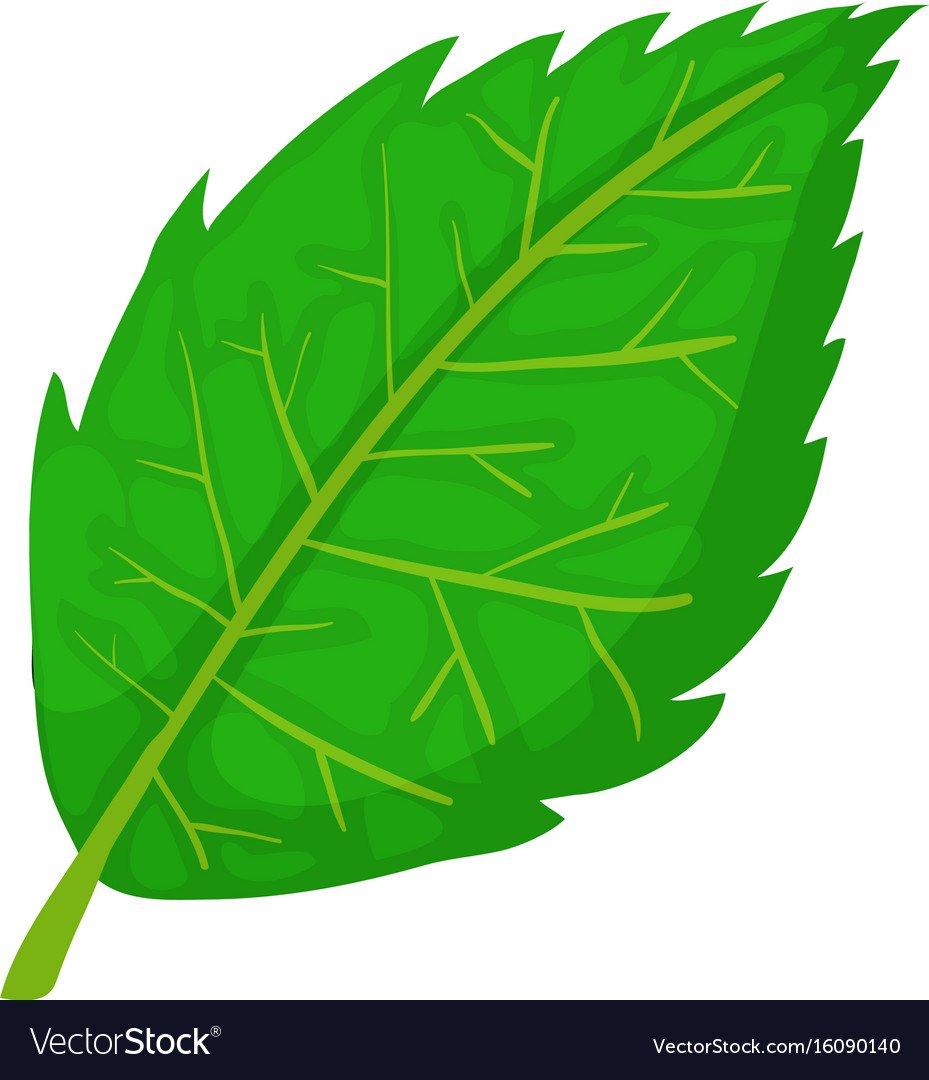 Векторные листья