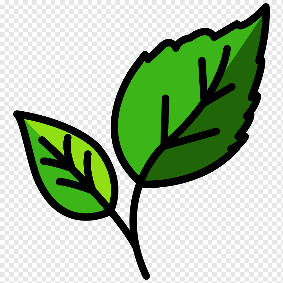 Листик зеленый шаблон