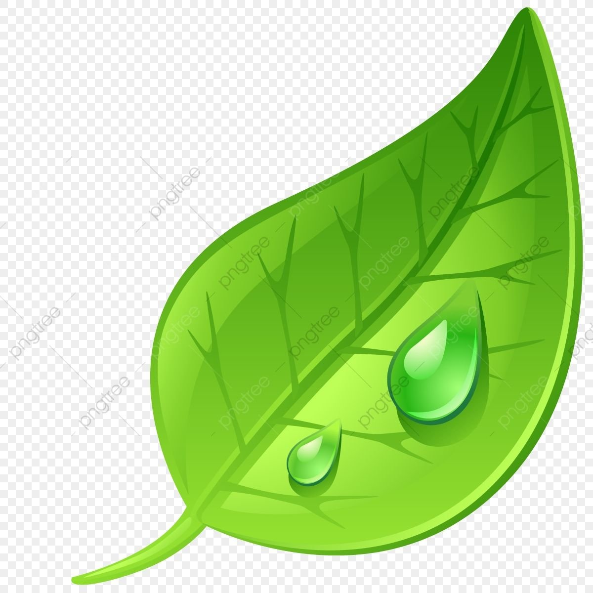 Листок на белом фоне эко