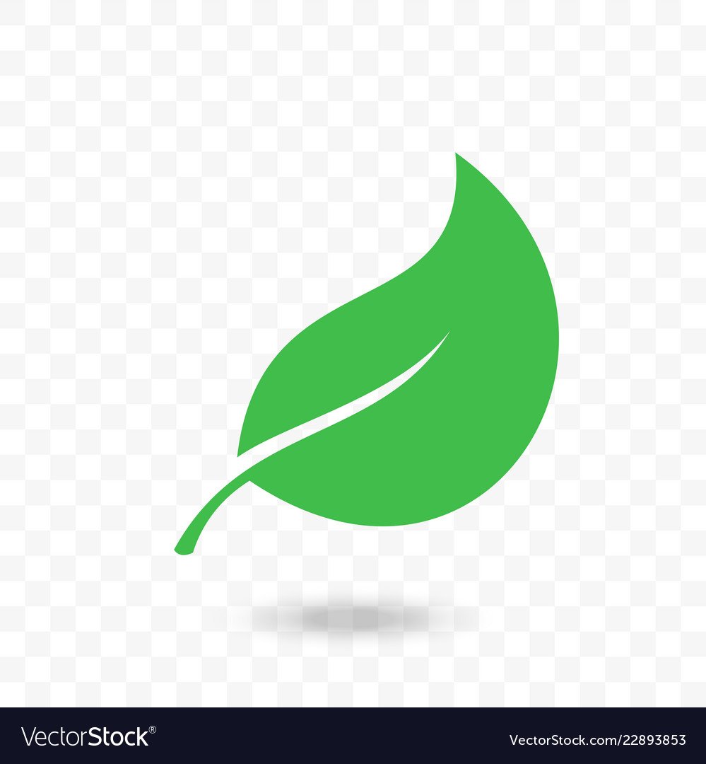 Зеленый листик картинка для детей
