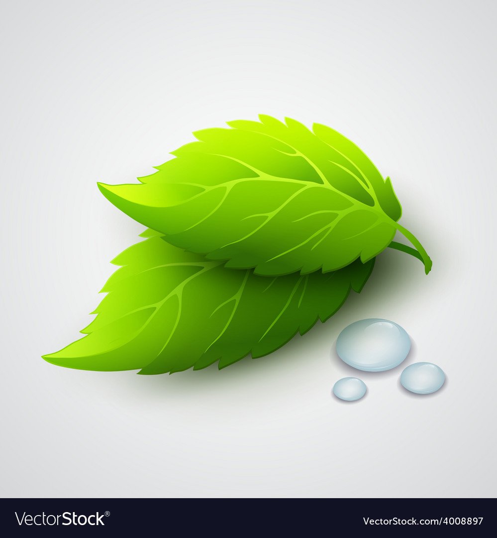 Реалистичный зеленый АМОГУС С белым фоном