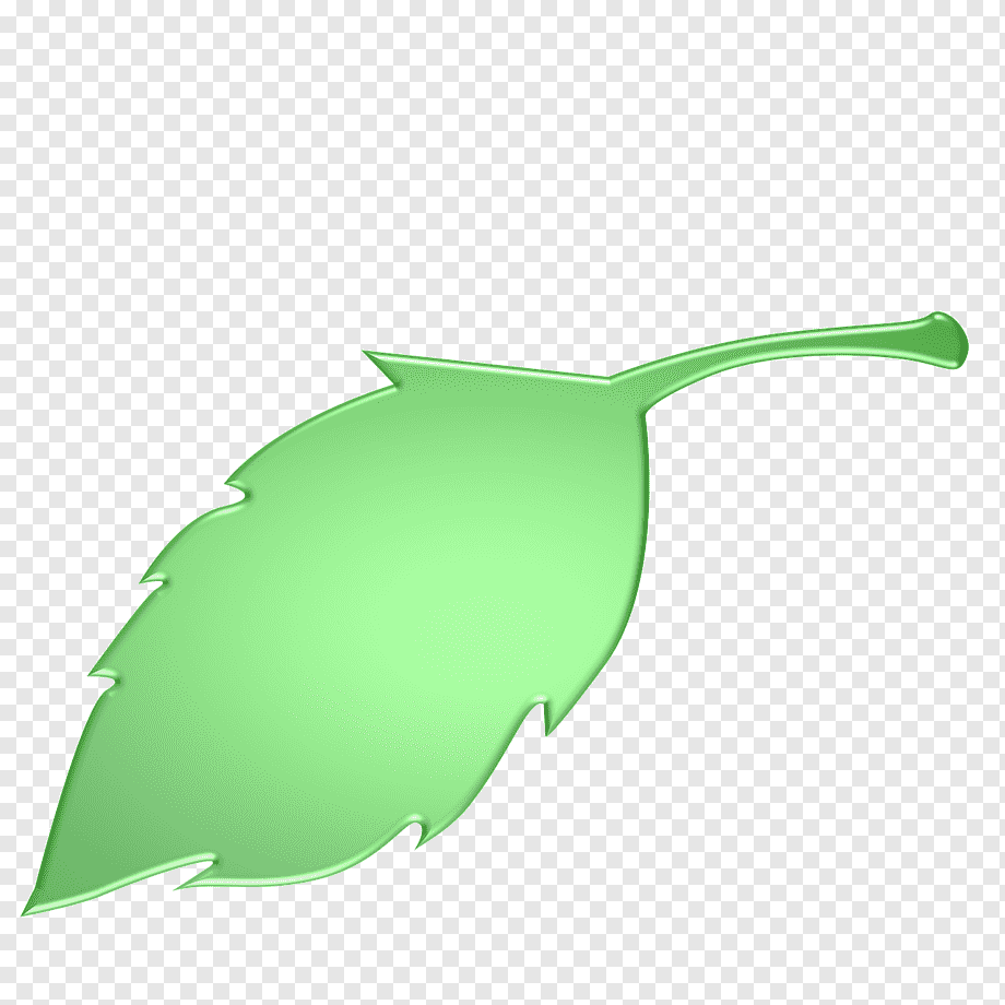 Эскизы листики зеленые