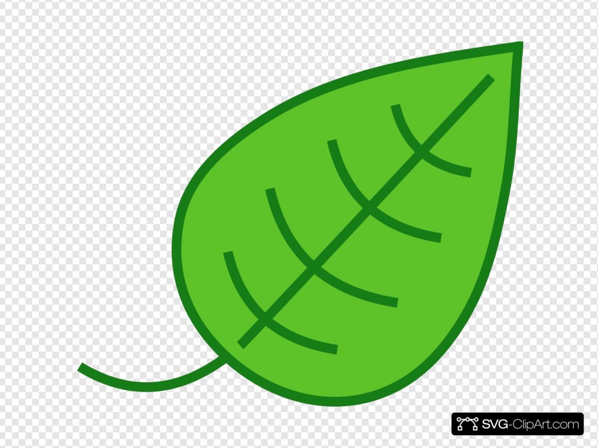 Маленькие листики