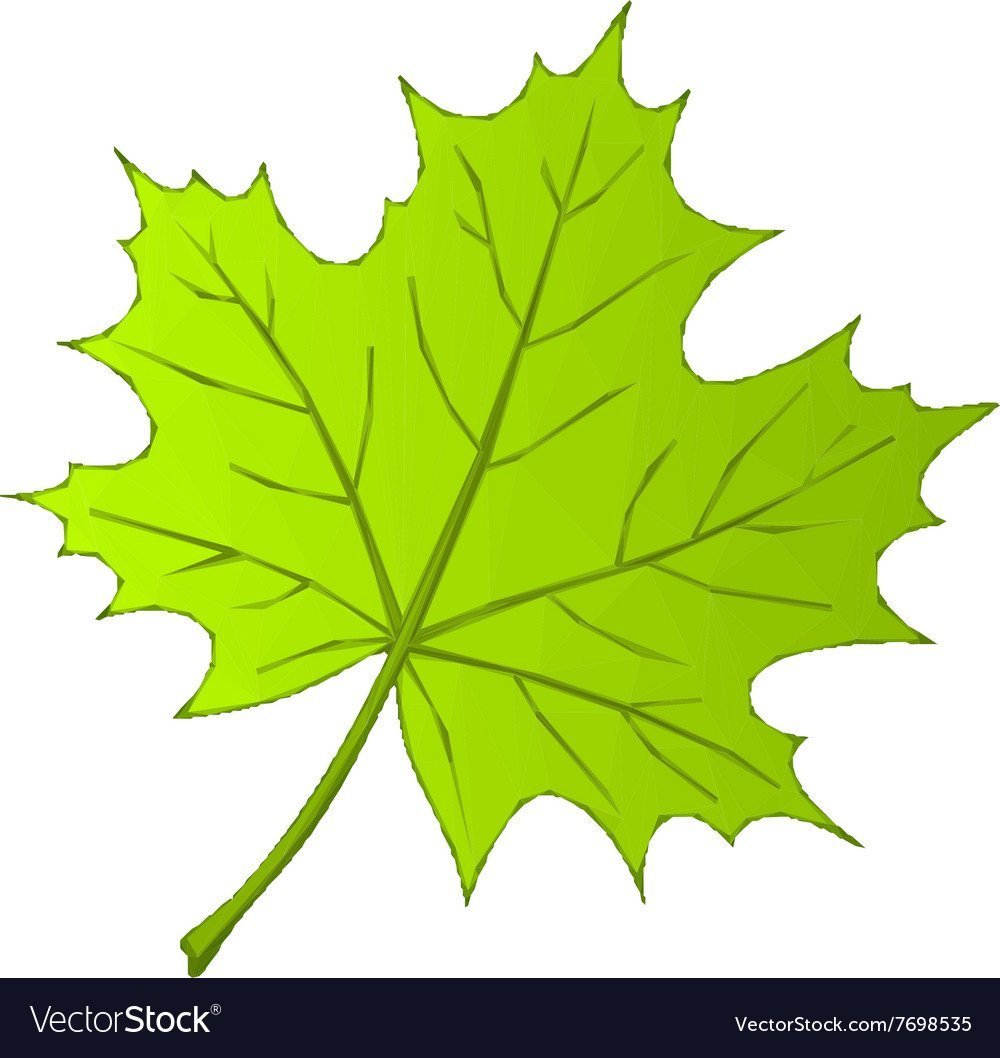 Бук лист иконка