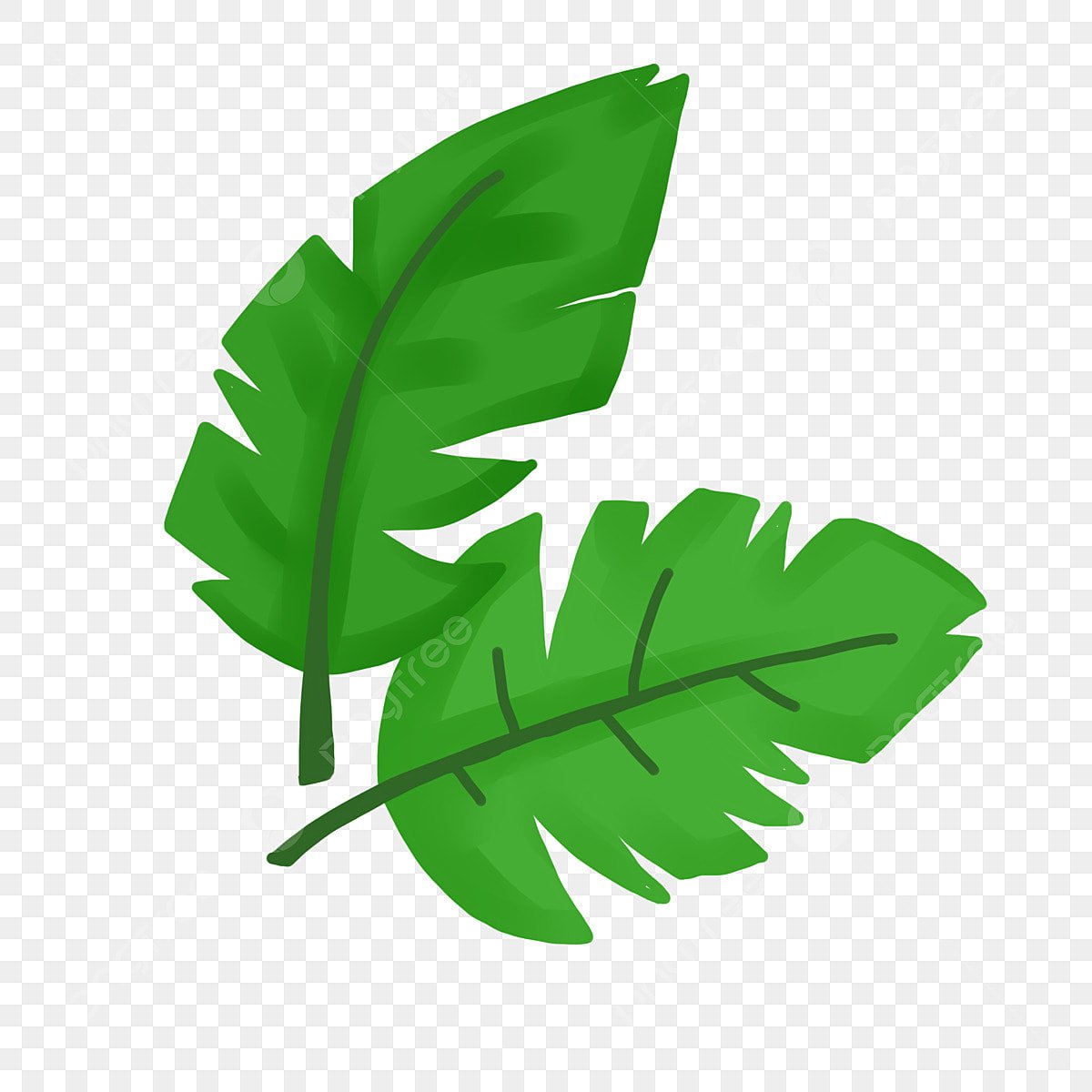 Березовый лист для детей