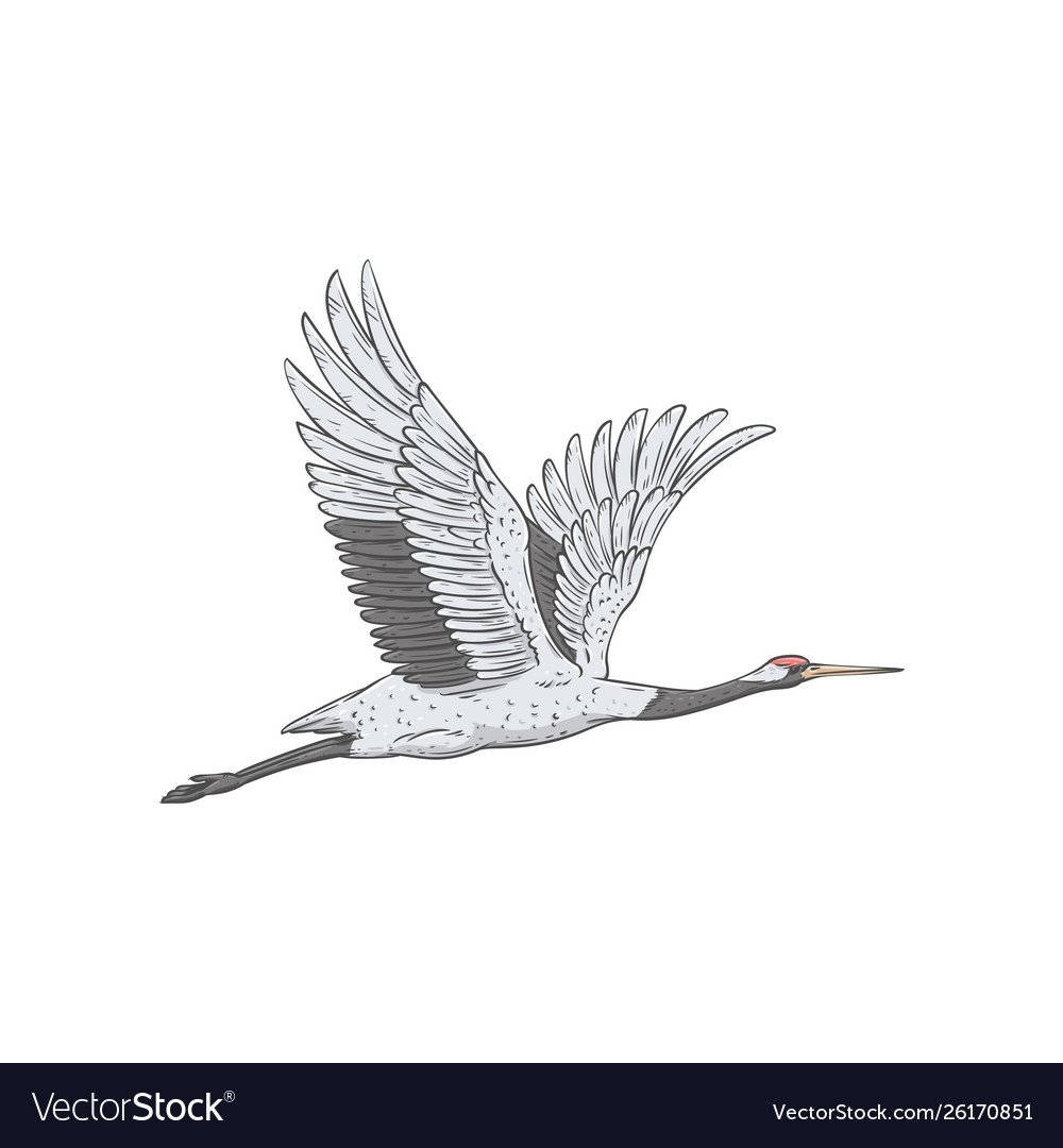 Картина Журавли летят