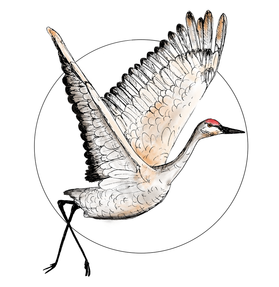 Журавли в японском стиле