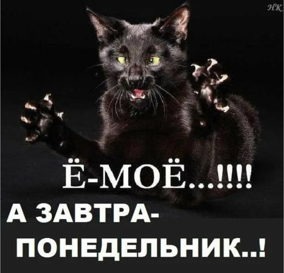 Спокойной ночи завтра понедельник