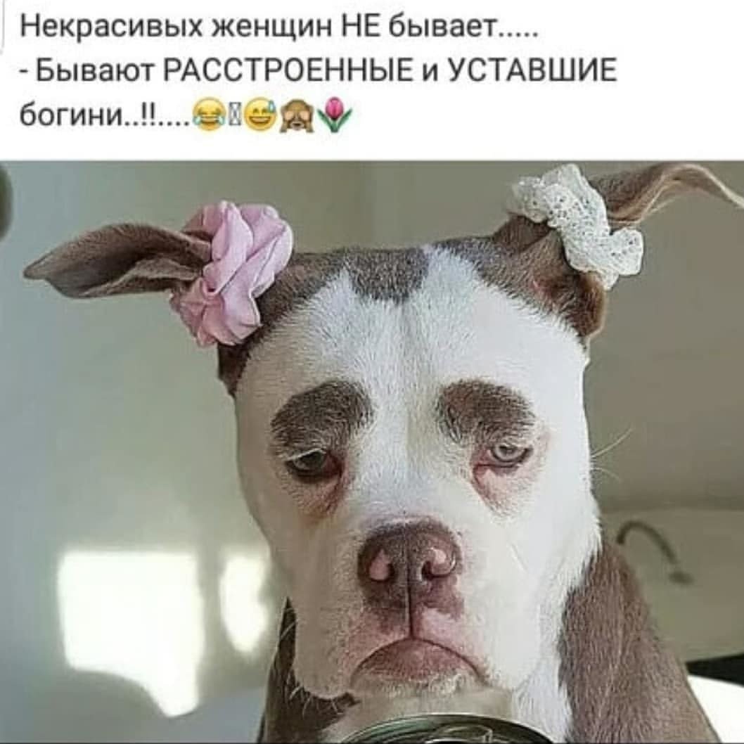 Открытки опять на работу