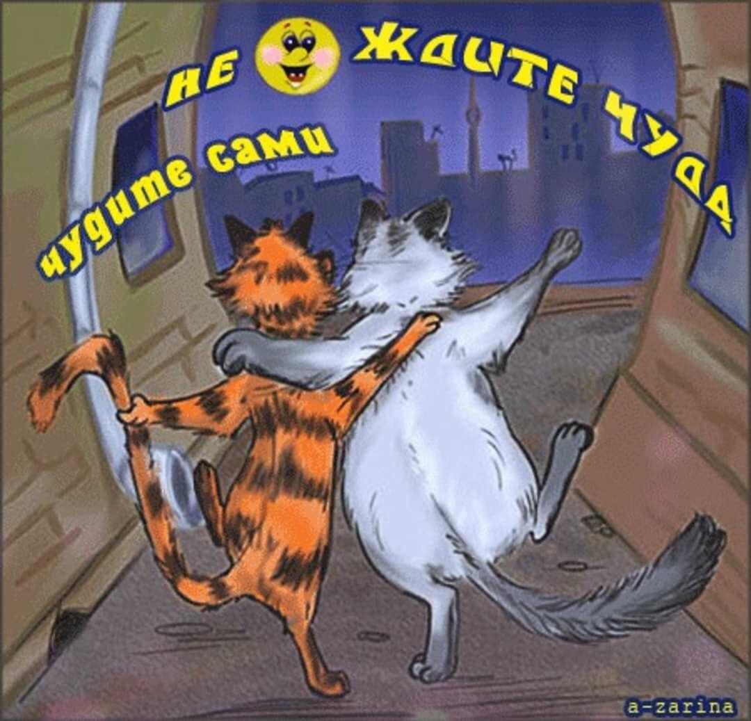 День кошек 8 августа