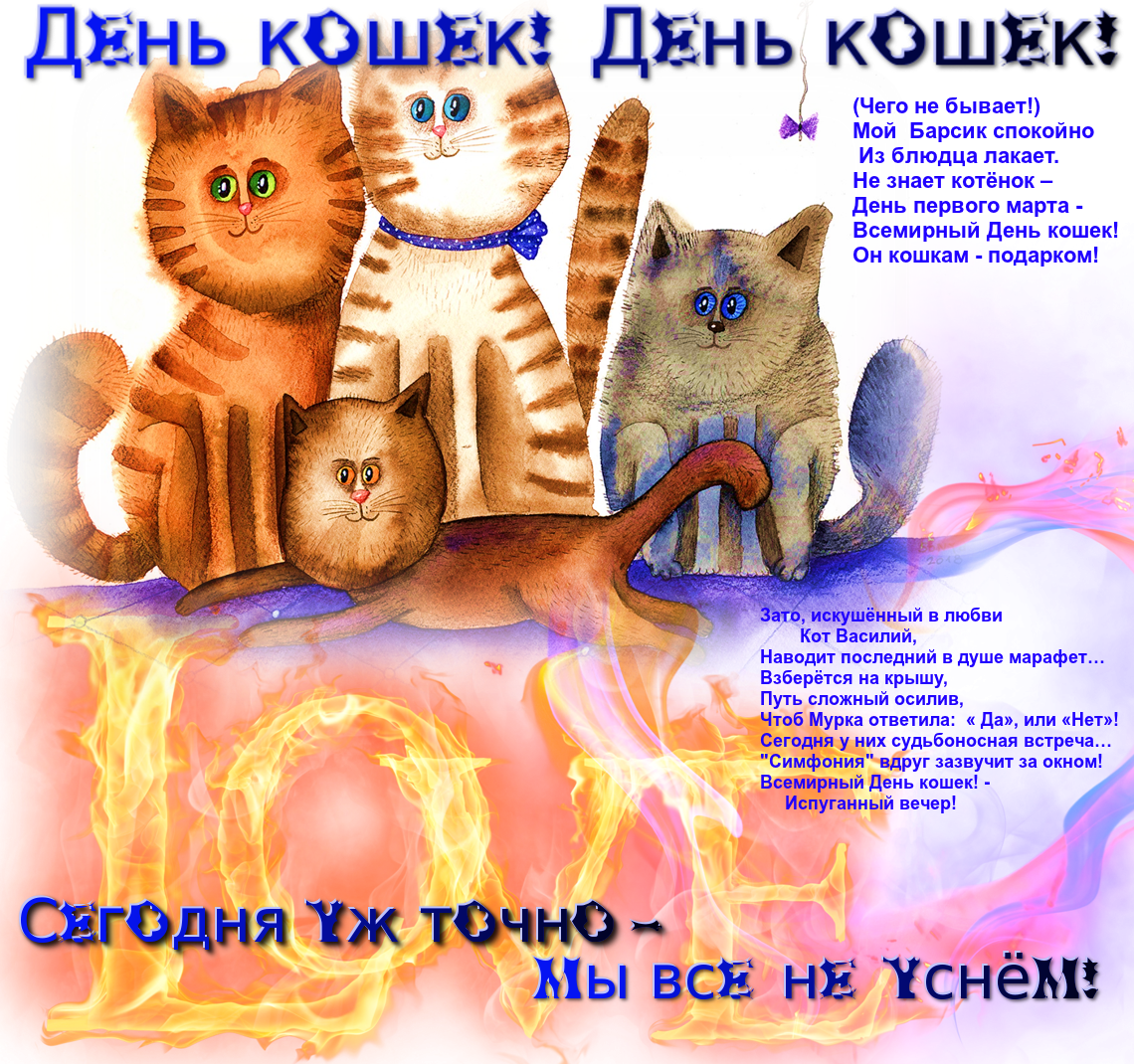 Международный день котиков 8 августа