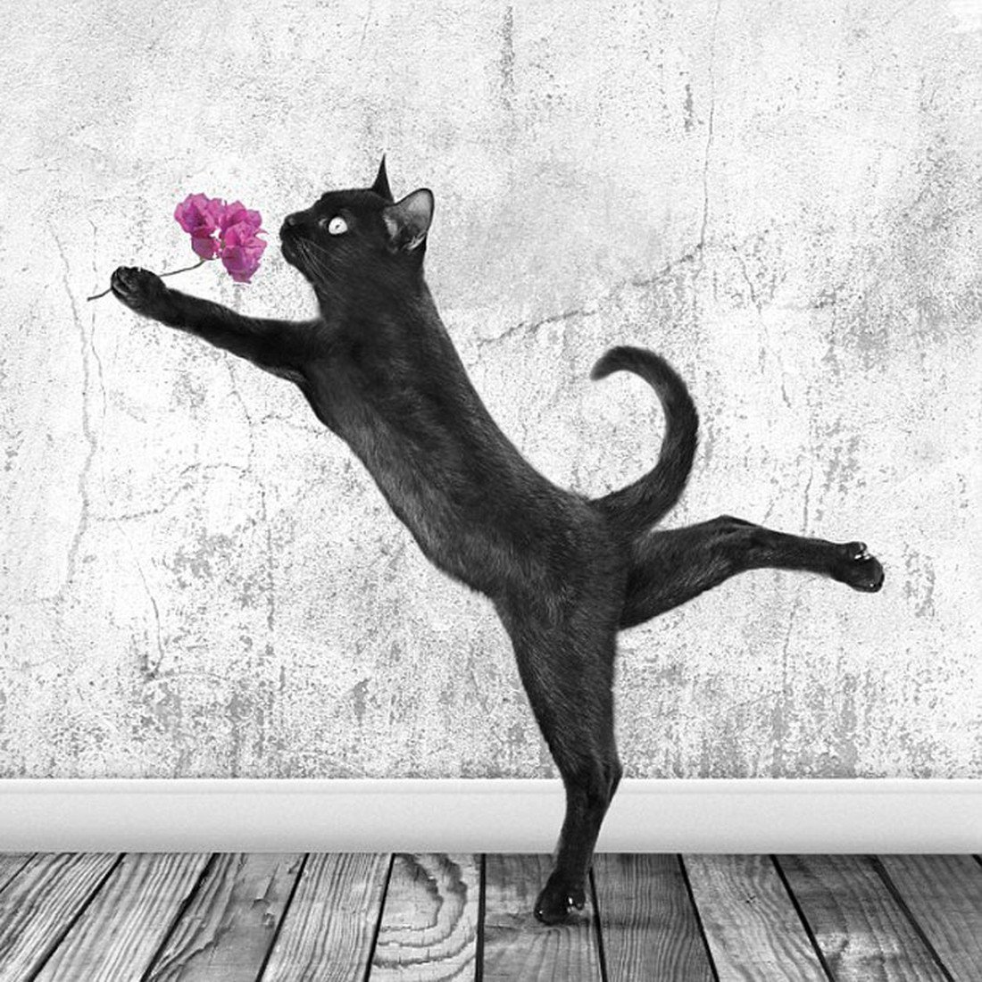 Всемирный день кошек 8 августа