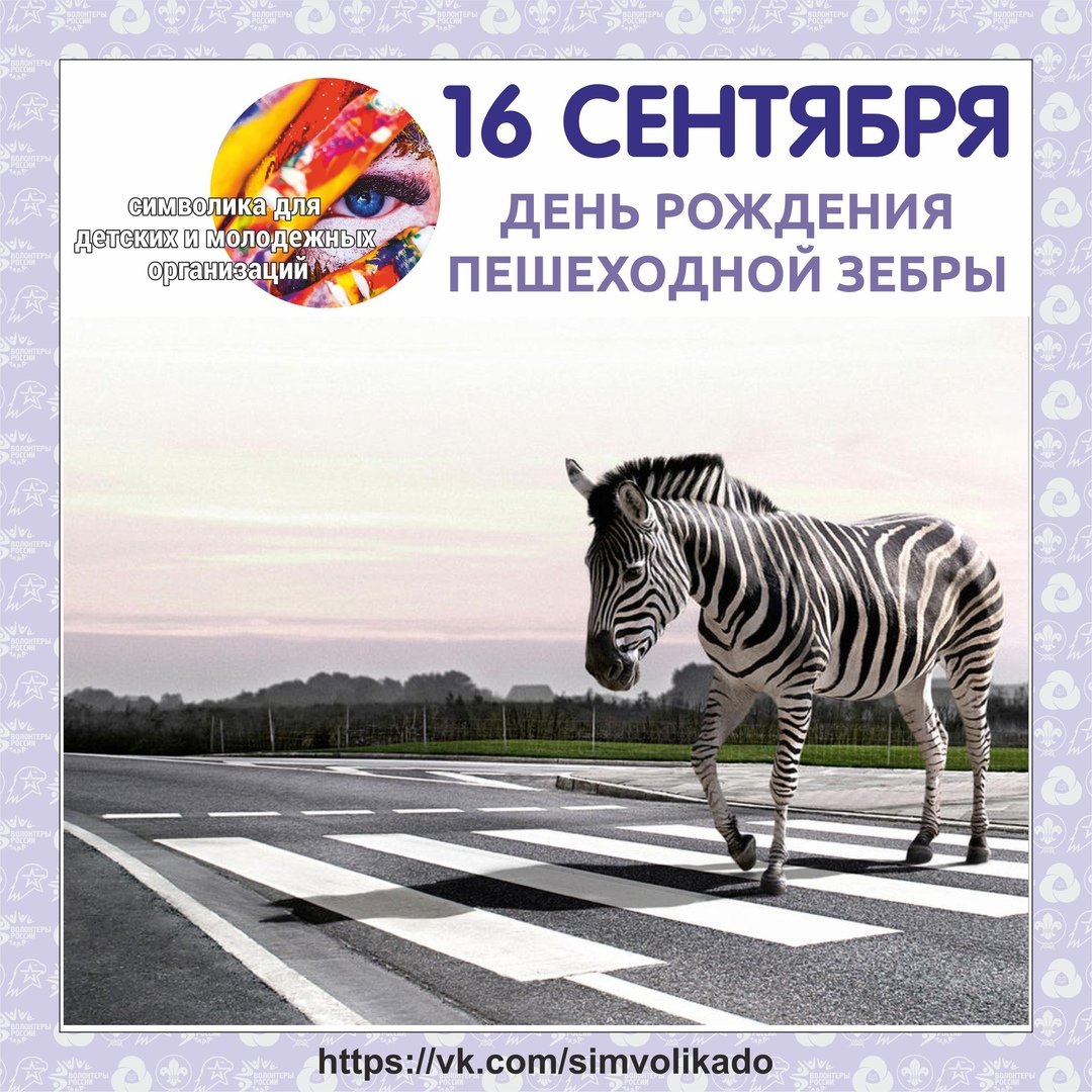 Всадник едет на зебре по зебре